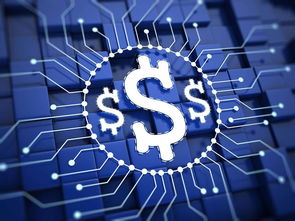 楊望 以數字貨幣破題普惠金融，數字技術服務實體經濟新路徑